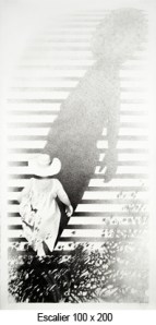 GUITARD ESCALIER 2recadré